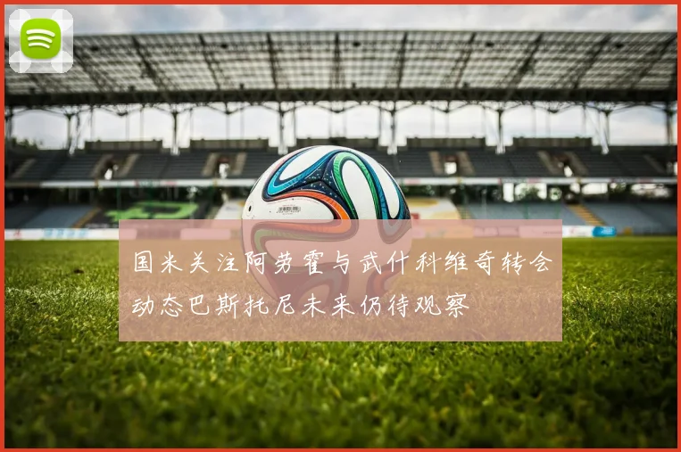 国米关注阿劳霍与武什科维奇转会动态巴斯托尼未来仍待观察