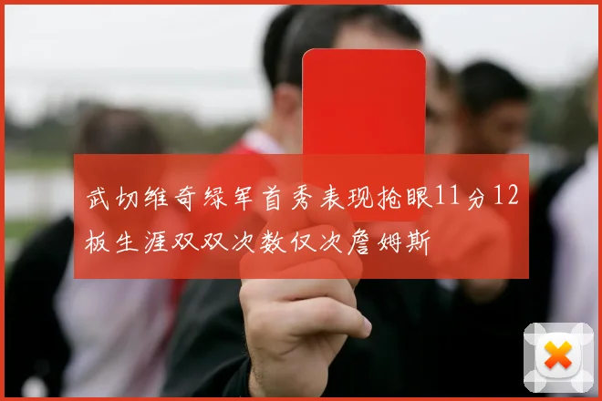 武切维奇绿军首秀表现抢眼11分12板生涯双双次数仅次詹姆斯